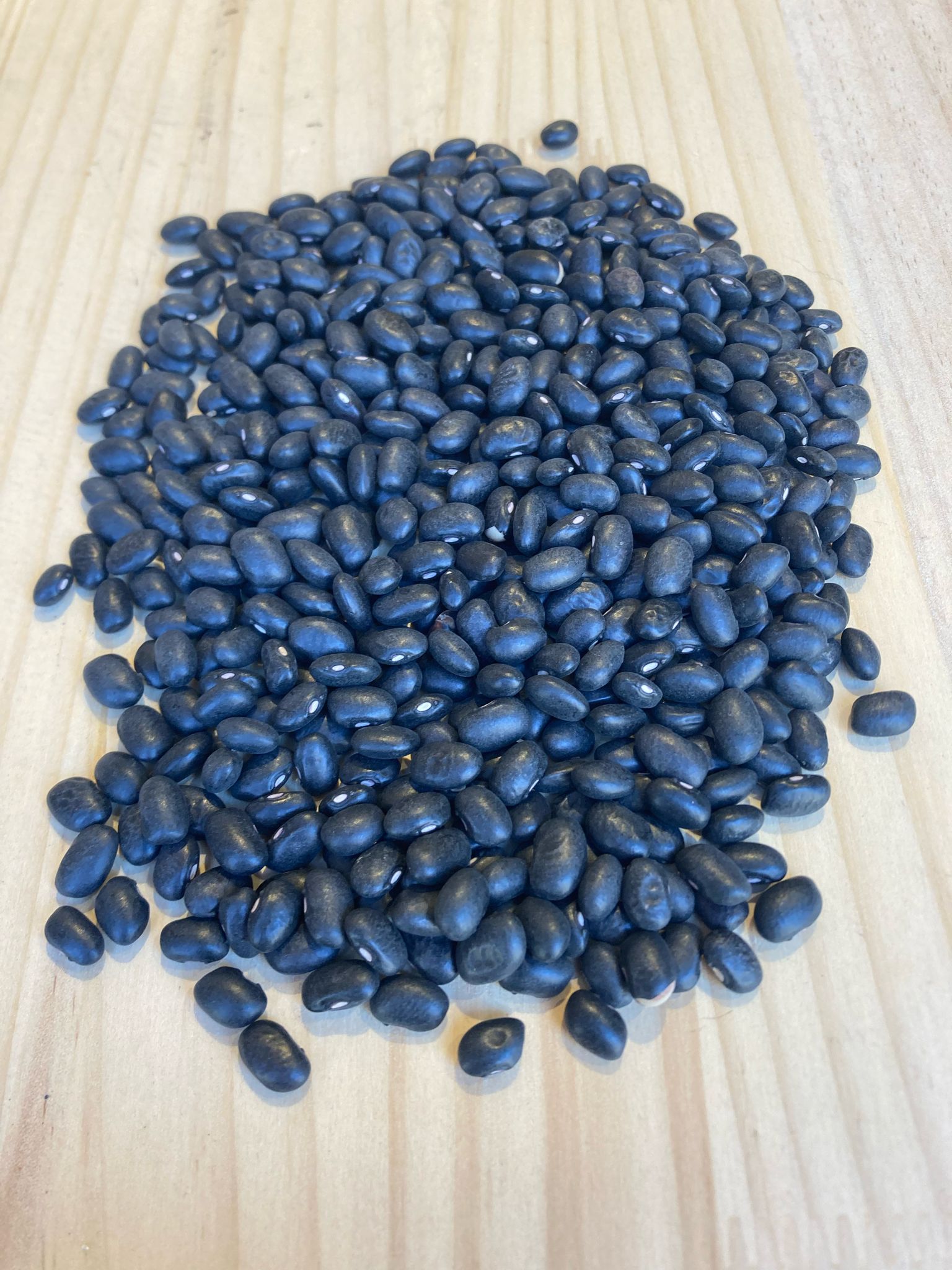 Frijoles secos