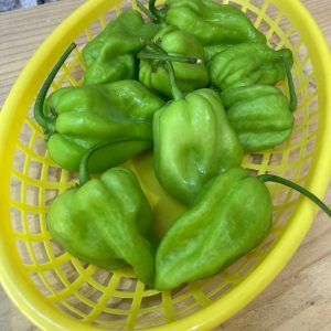 Chile muy picante fresco en tienda en Barcelona