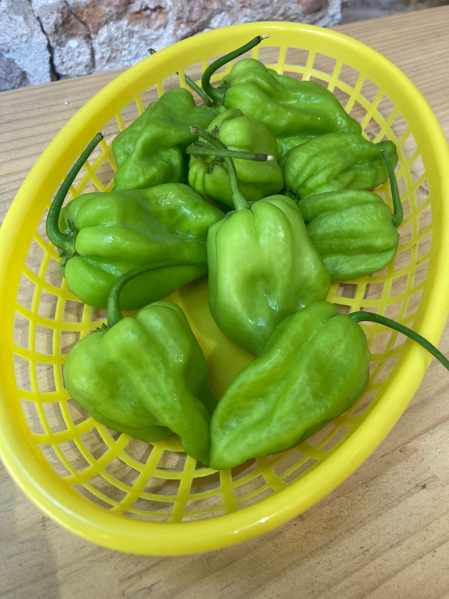 Chile muy picante fresco en tienda en Barcelona