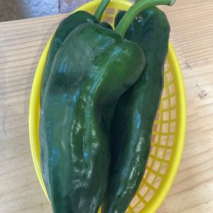 Chile Poblano Fresco en tienda en Barcelona