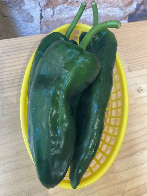 Chile Poblano Fresco en tienda en Barcelona