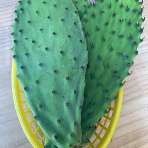 Nopales frescos en tienda en Barcelona