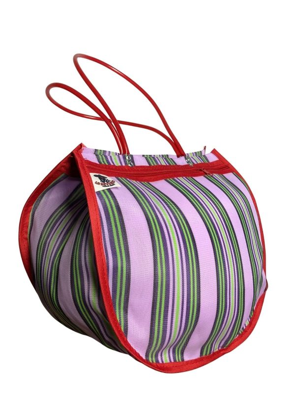 Bolsa colorida de México